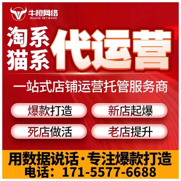黑河电商代运营